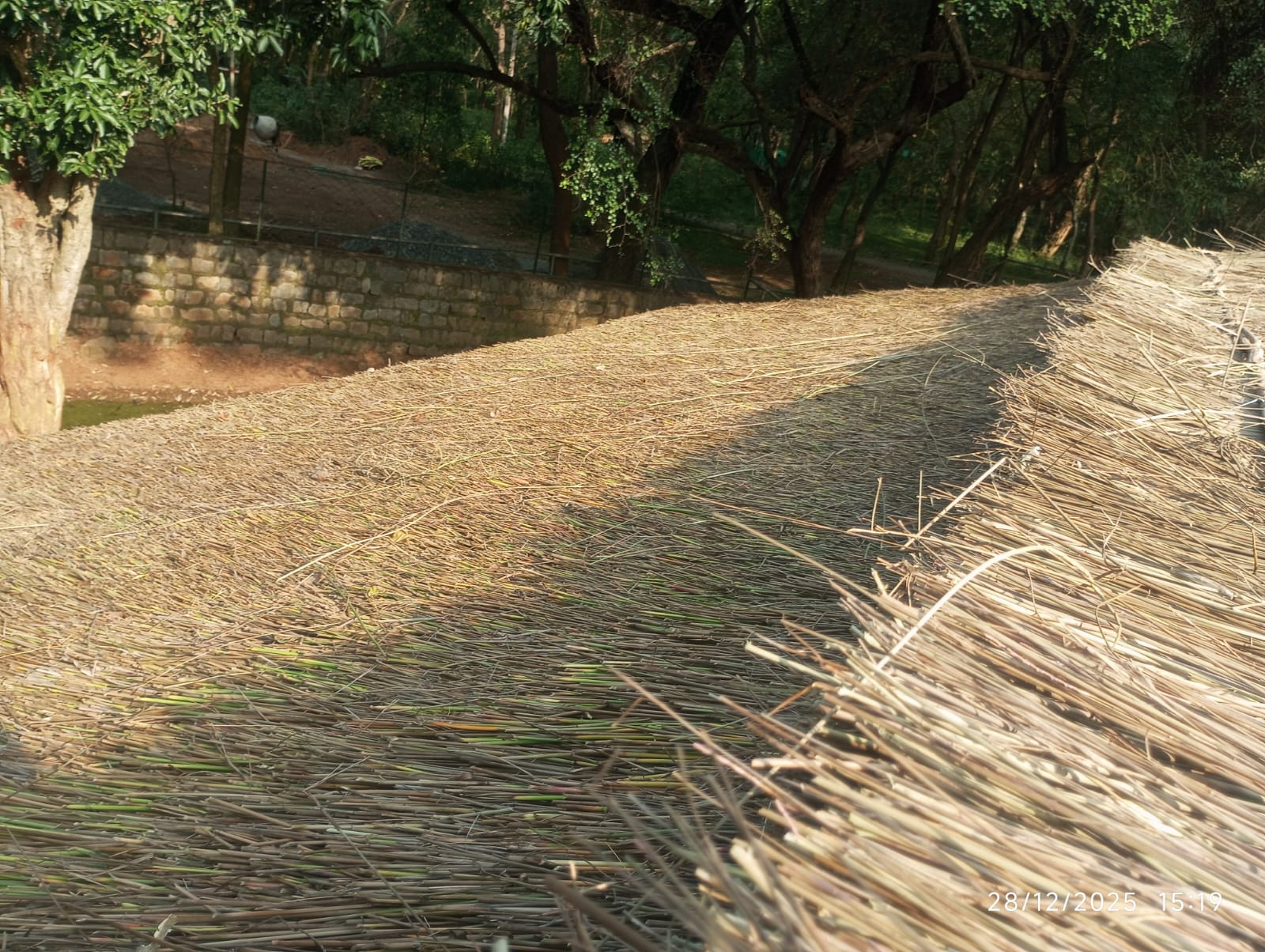 The workshop where fronds are dried and woven