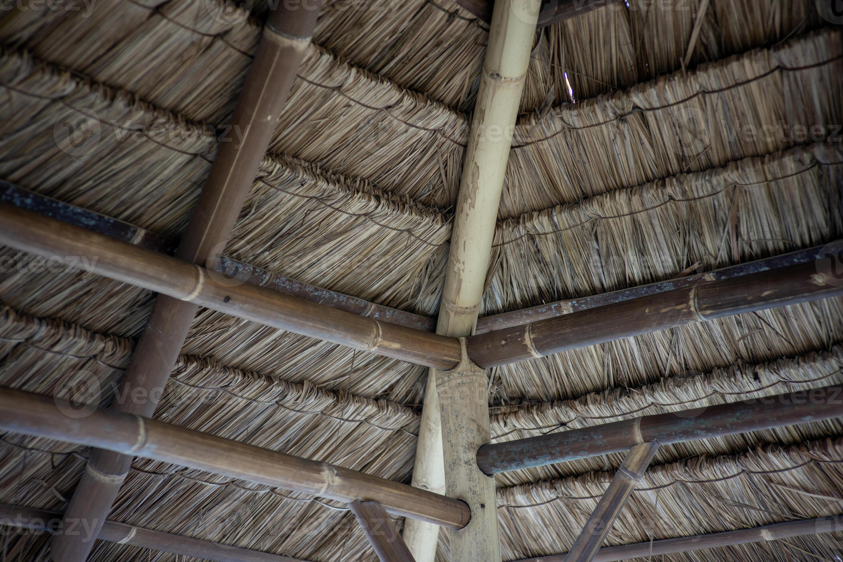 Round mud hut with a conical thatched roof in a village