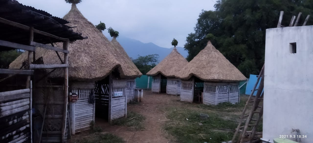 Small garden hut with a thatched palm roof