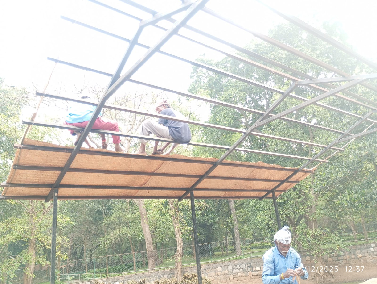 Raising the hut frame and thatch